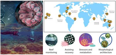 Editorial: Innovative approaches to coral reef science by early career researchers